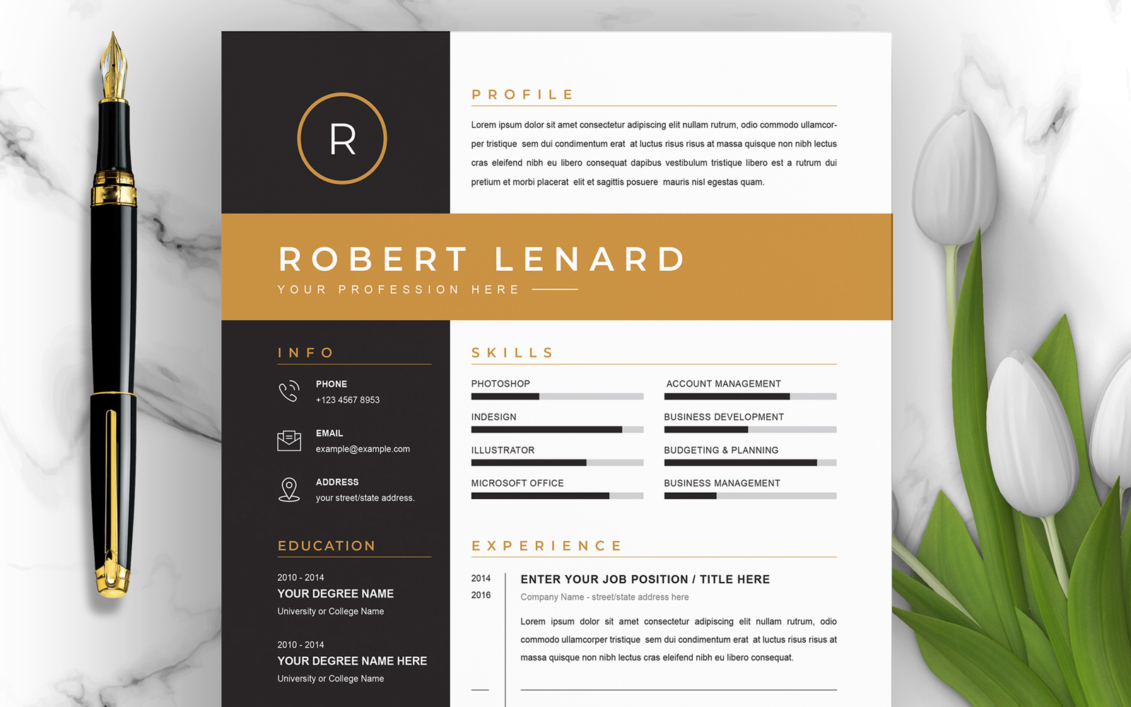 Resume Templates