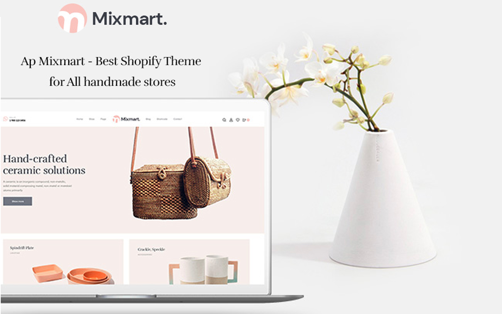 Shopify Themes