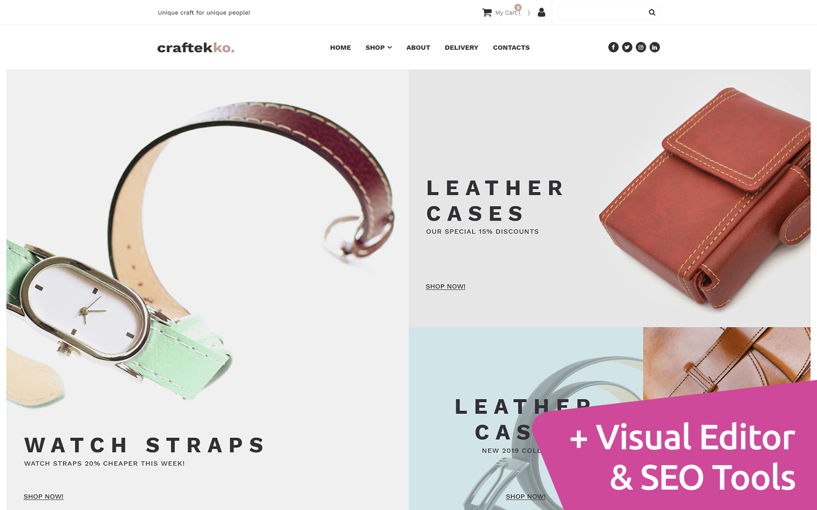 MotoCMS Ecommerce Templates