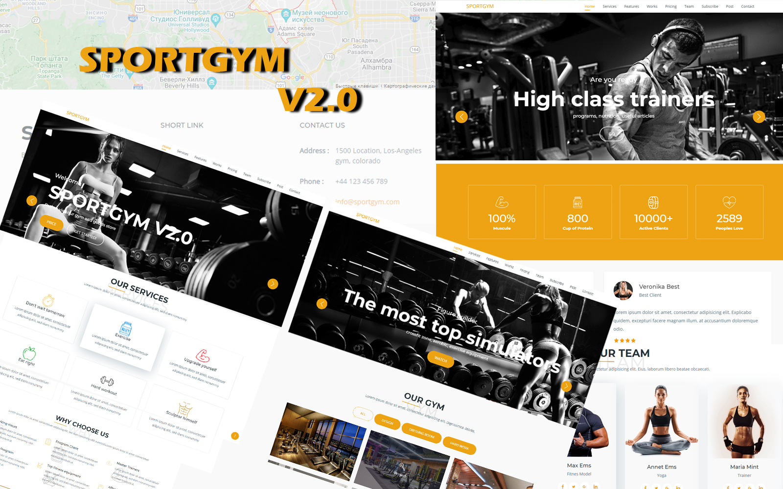 WordPress Themes