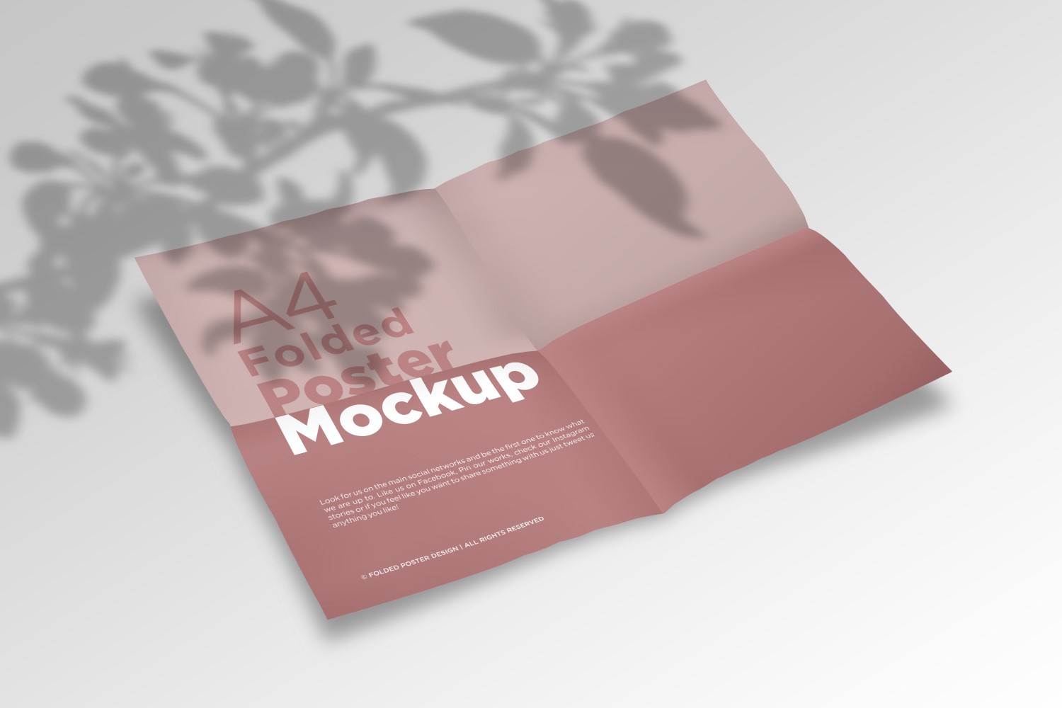 Product Mockups