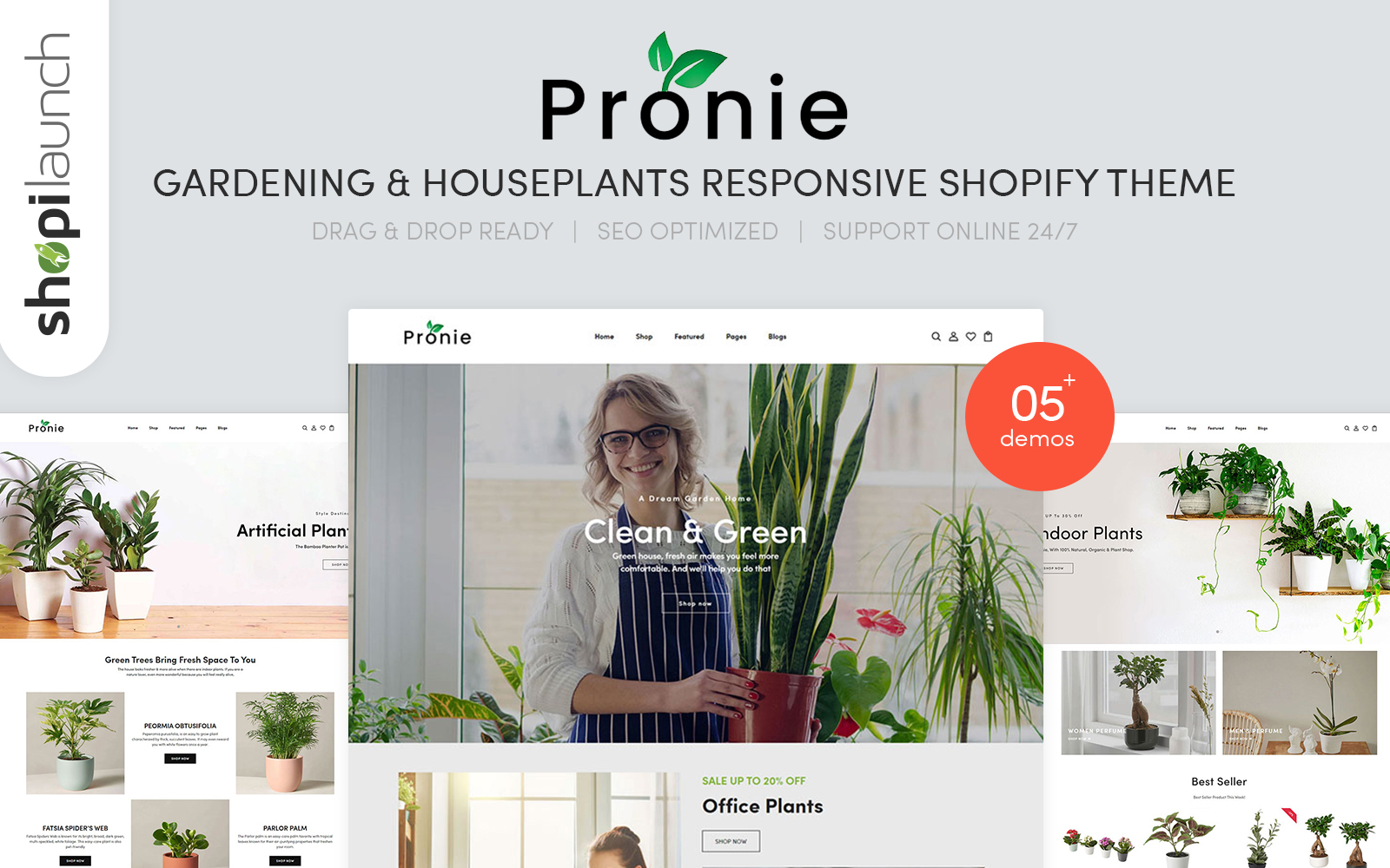 Shopify Themes