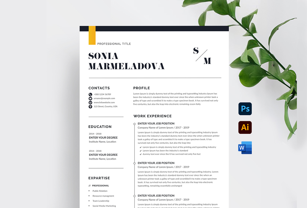 Resume Templates