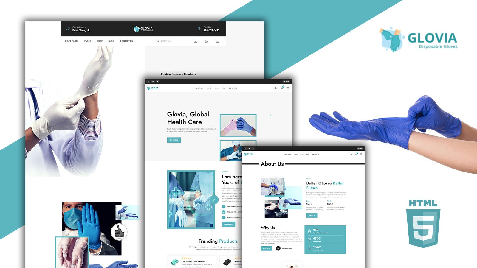 Glovia Gloves and Medical Accessories HTML5 Template