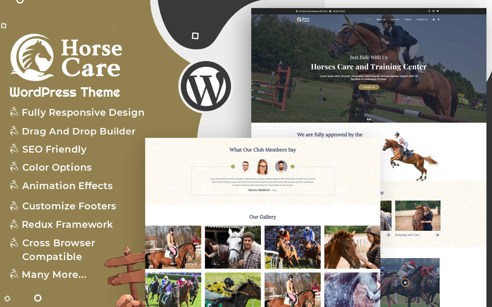 WordPress Themes