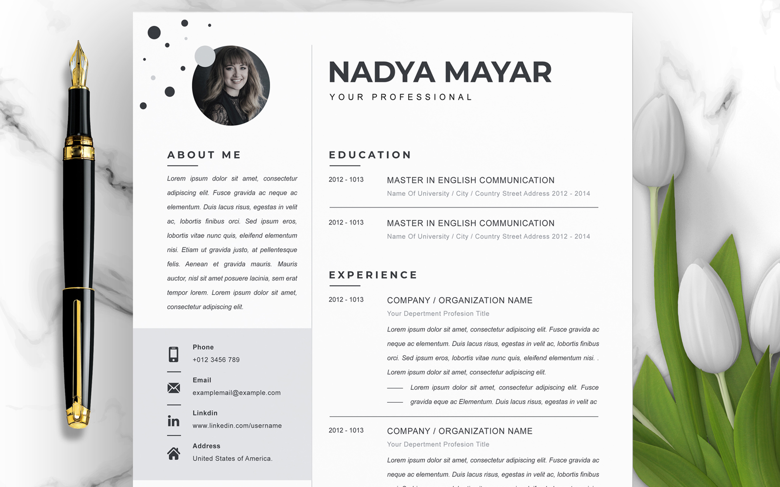 Resume Templates