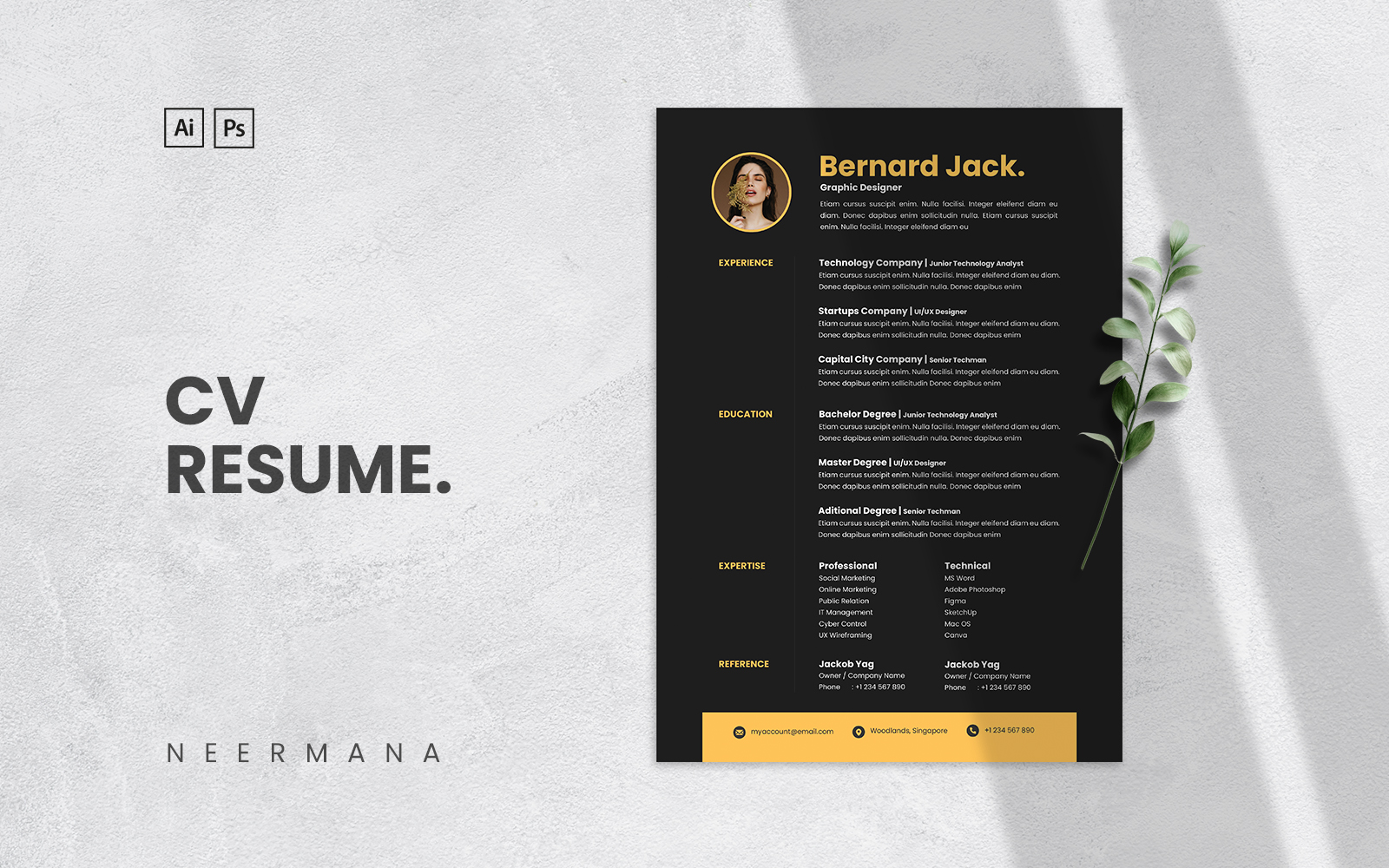 Resume Templates