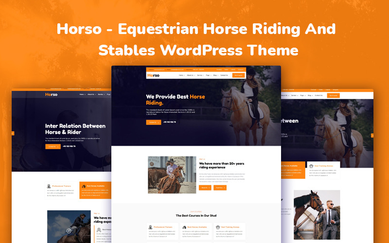 WordPress Themes