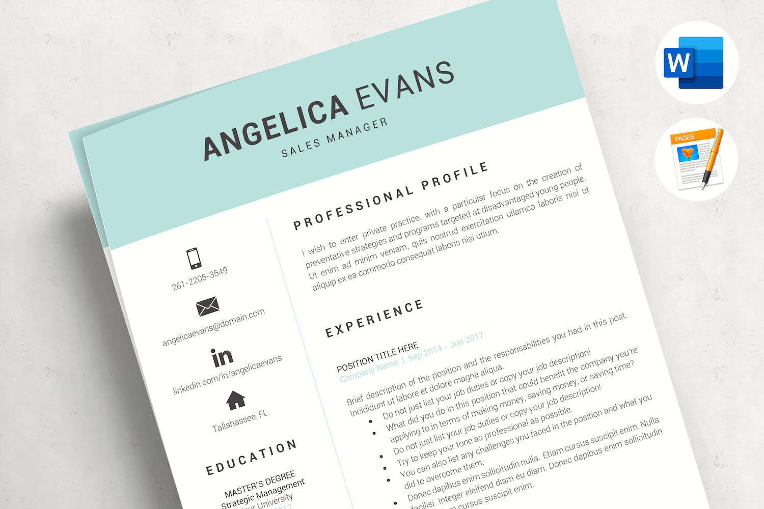 Resume Templates