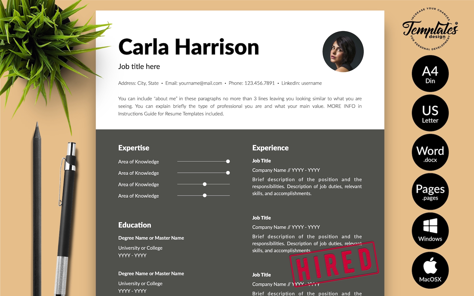 Resume Templates