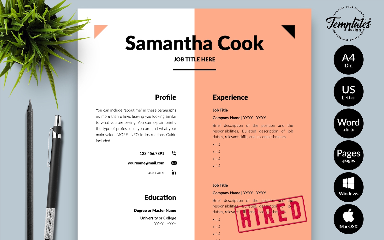 Resume Templates