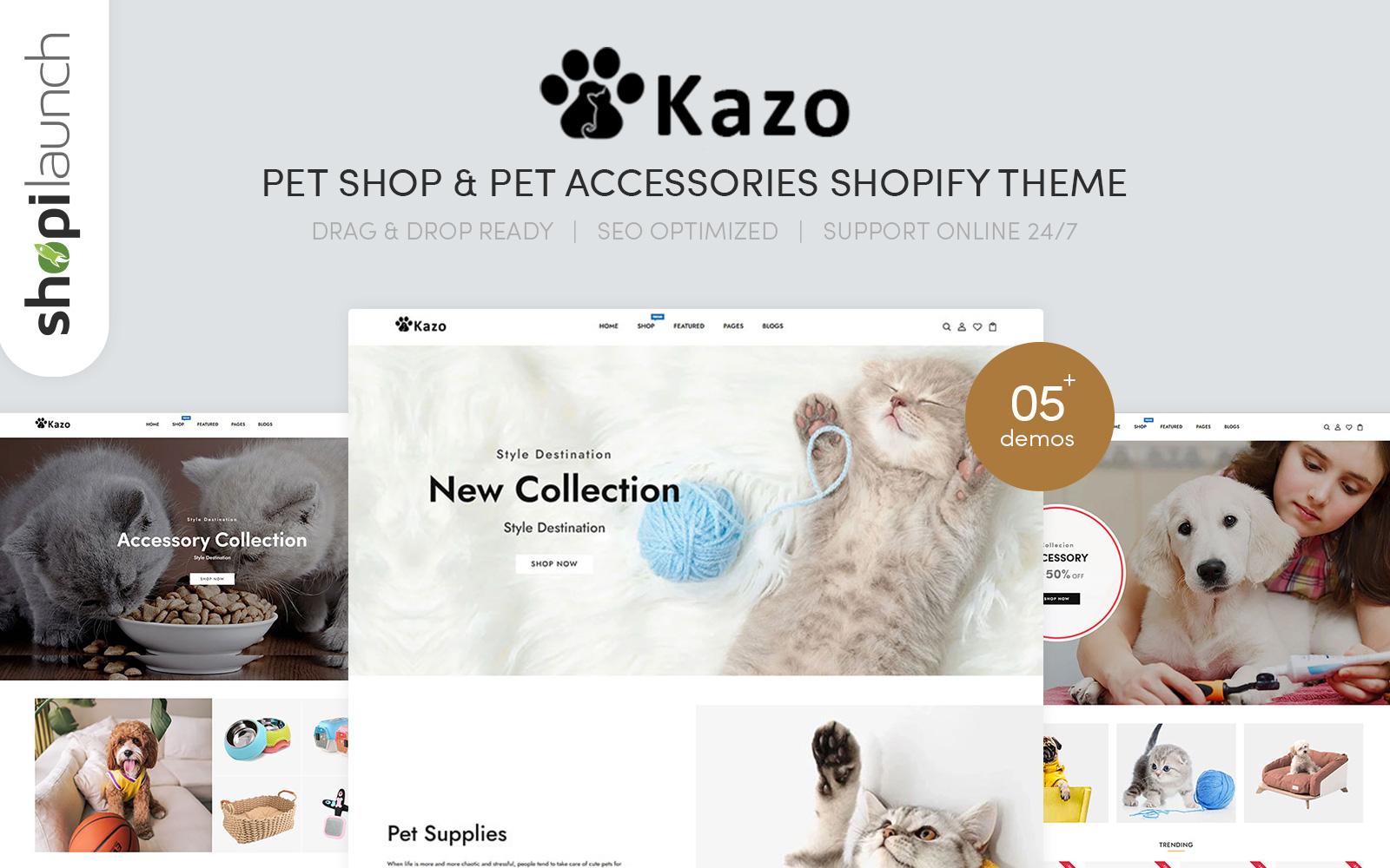 Shopify Themes