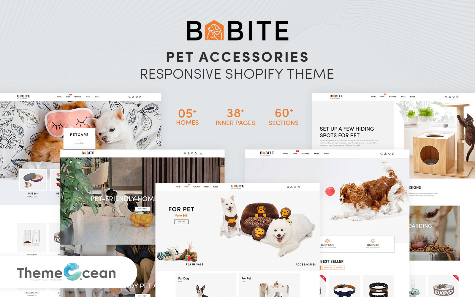 Shopify Themes