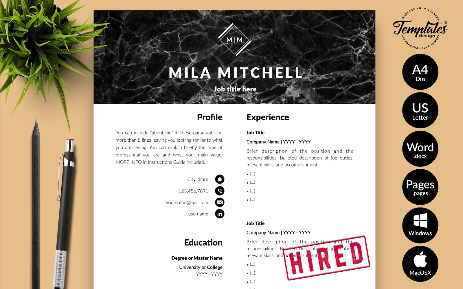 Resume Templates