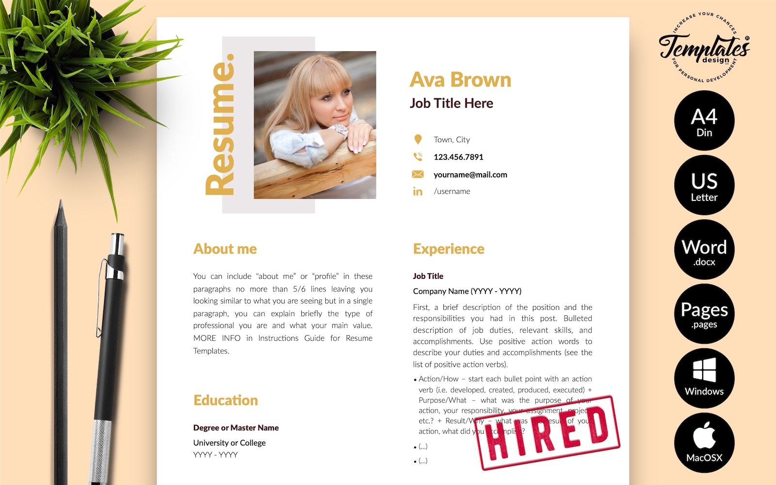 Resume Templates