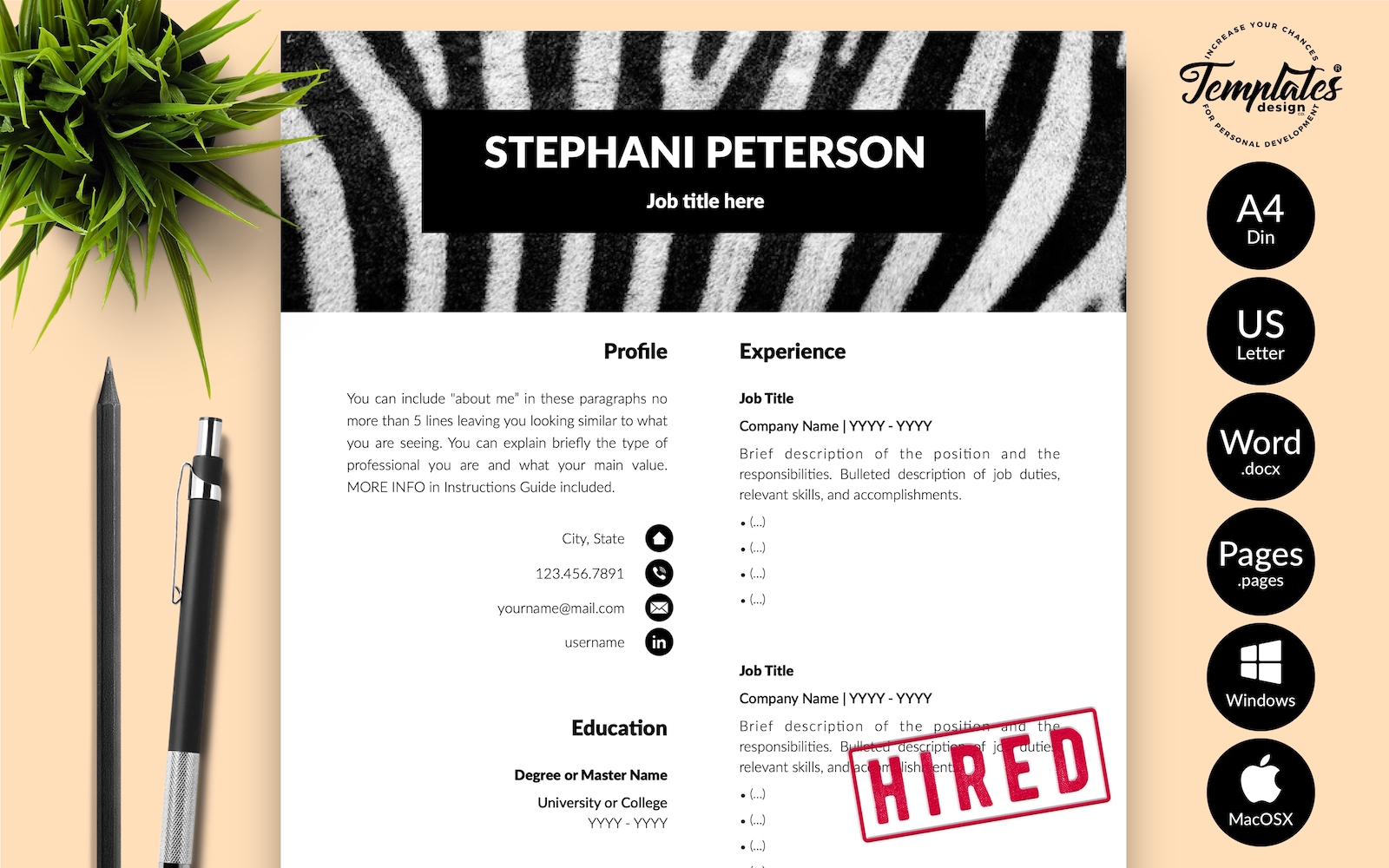 Resume Templates