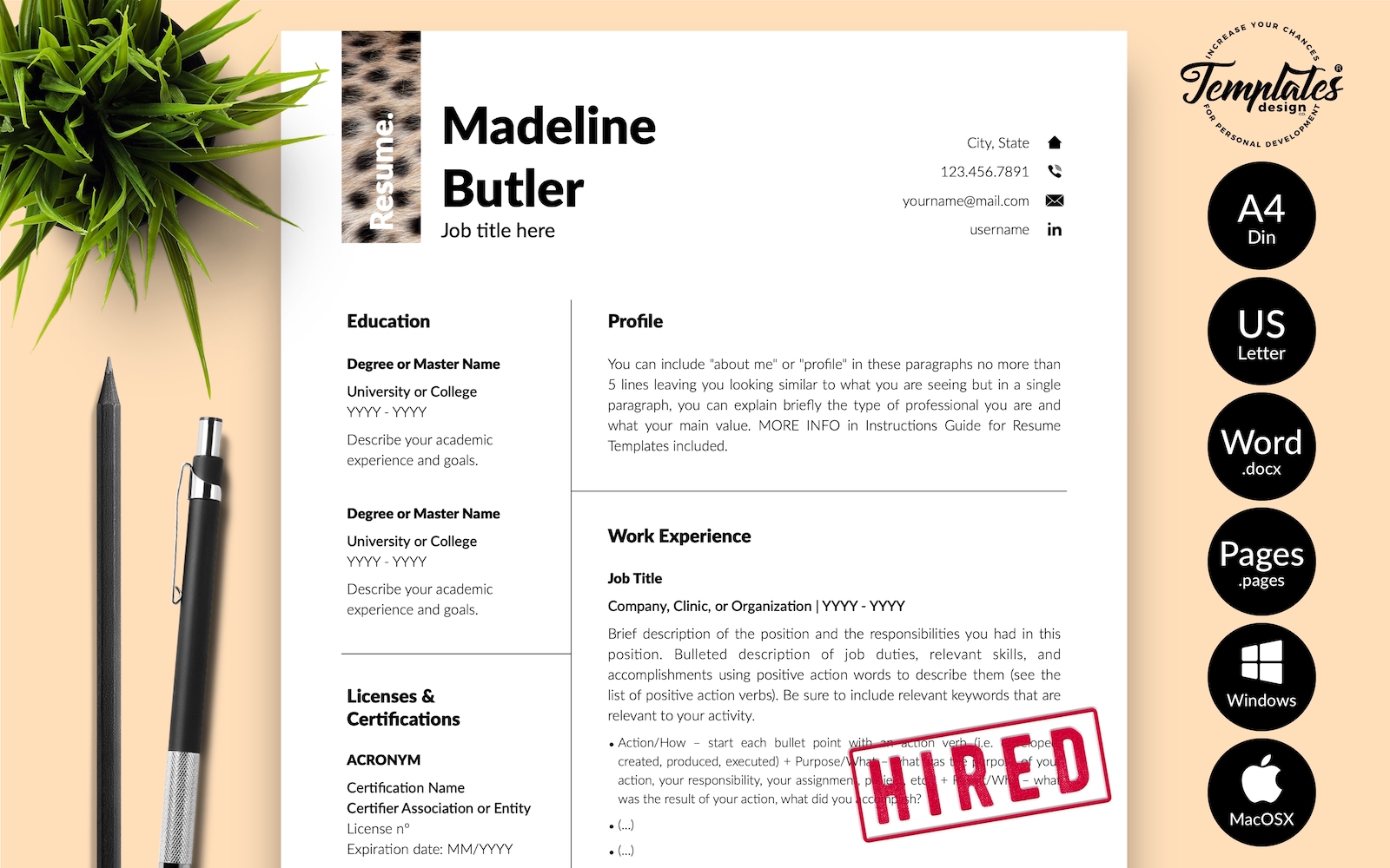 Resume Templates