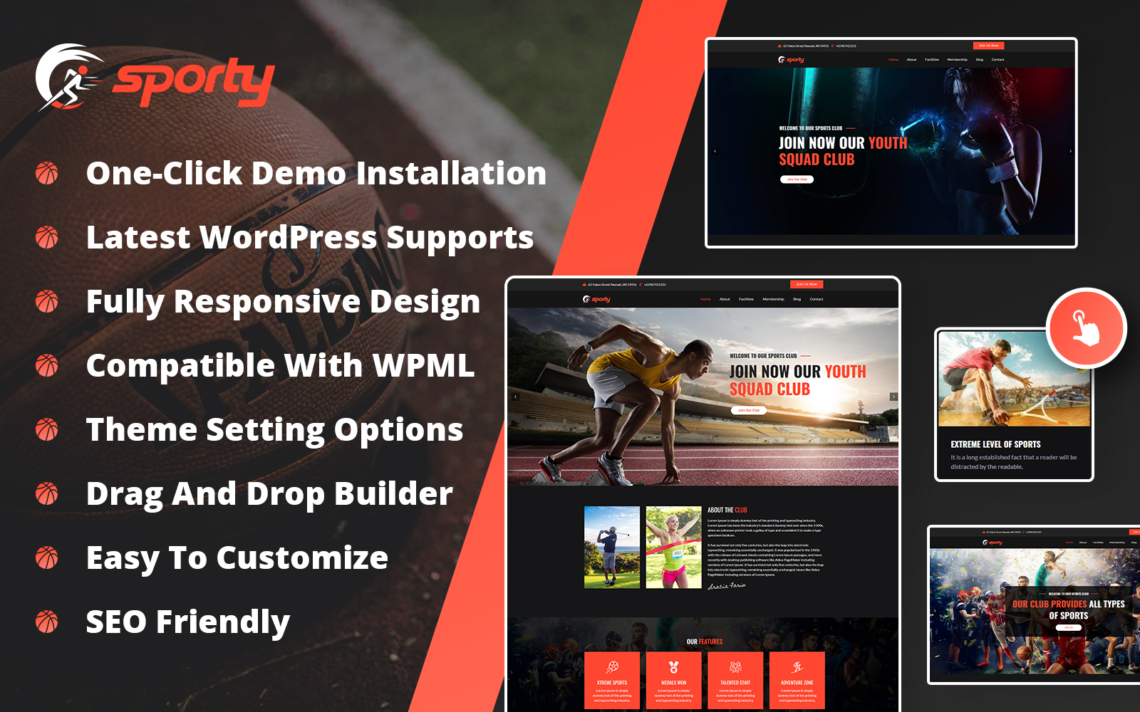 WordPress Themes