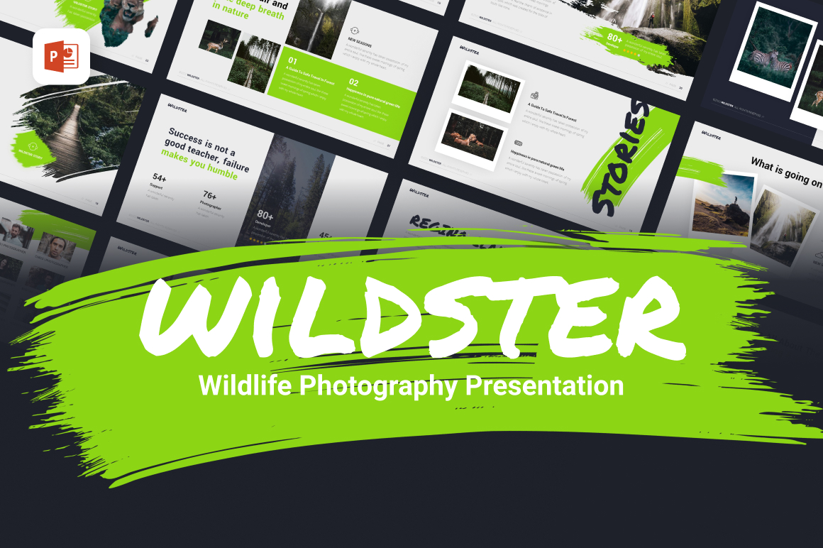 Wildster Creative Wild Photography PowerPoint Template