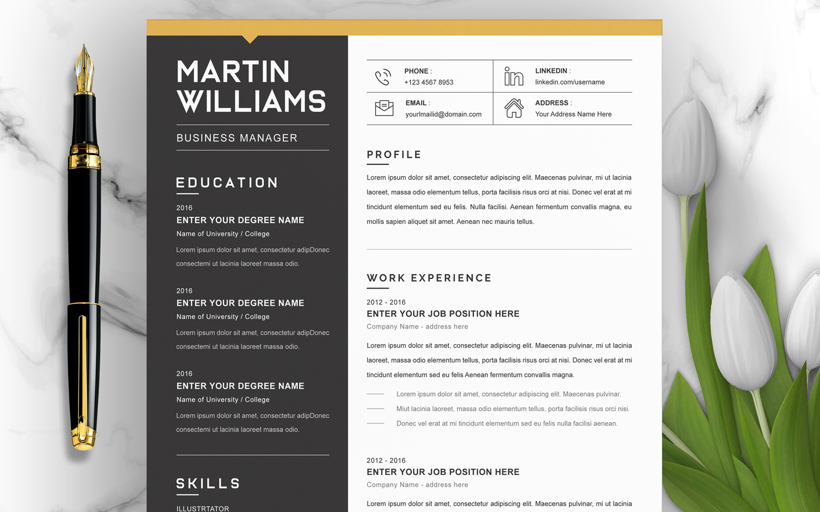 Resume Templates