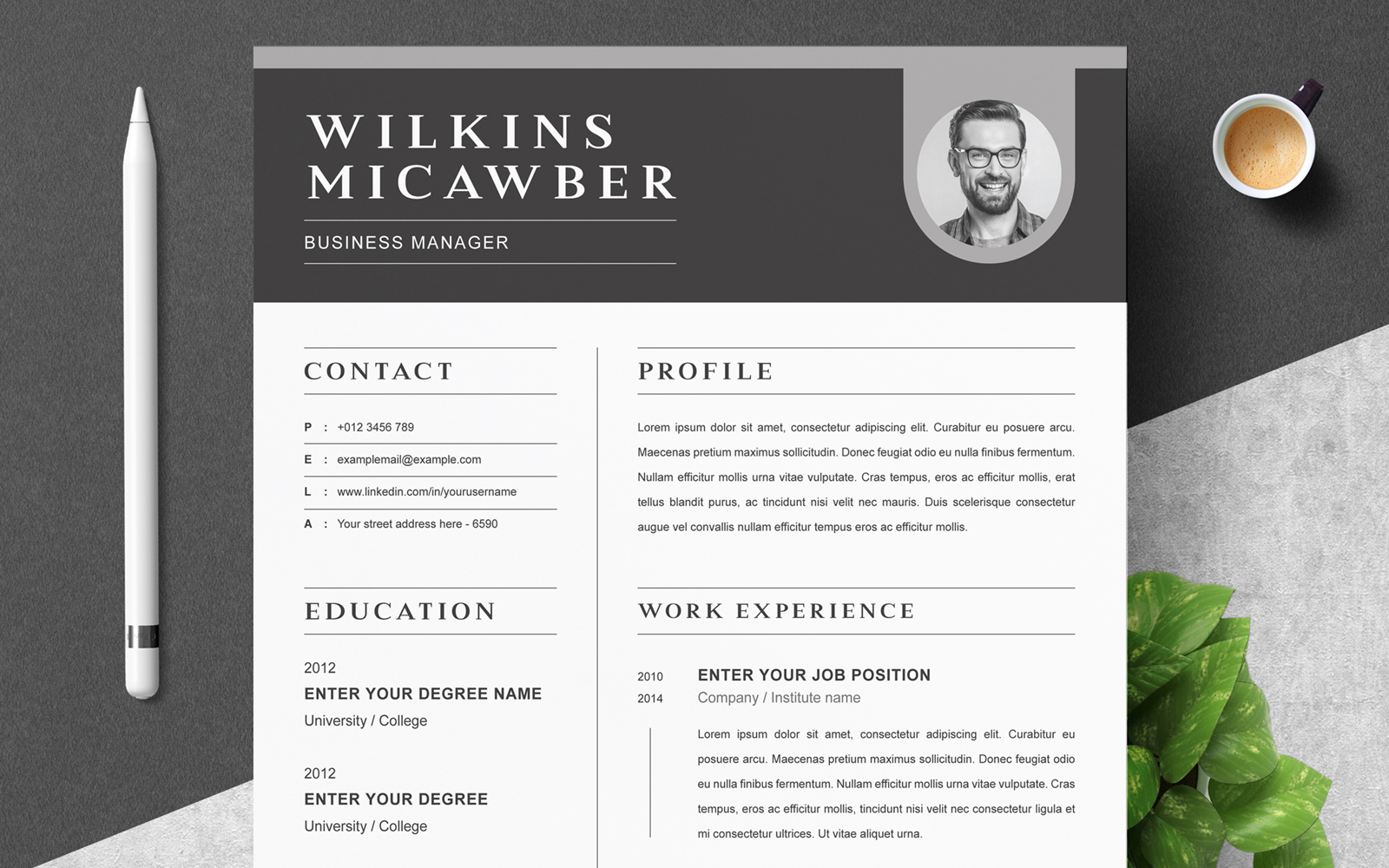 Resume Templates