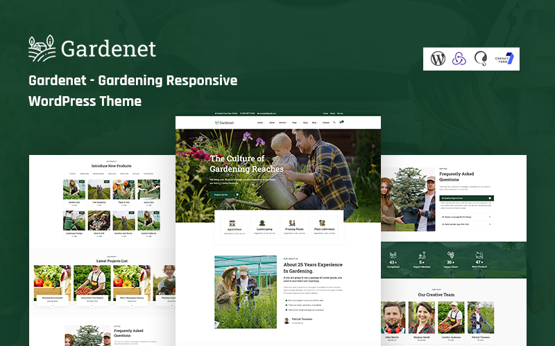 WordPress Themes