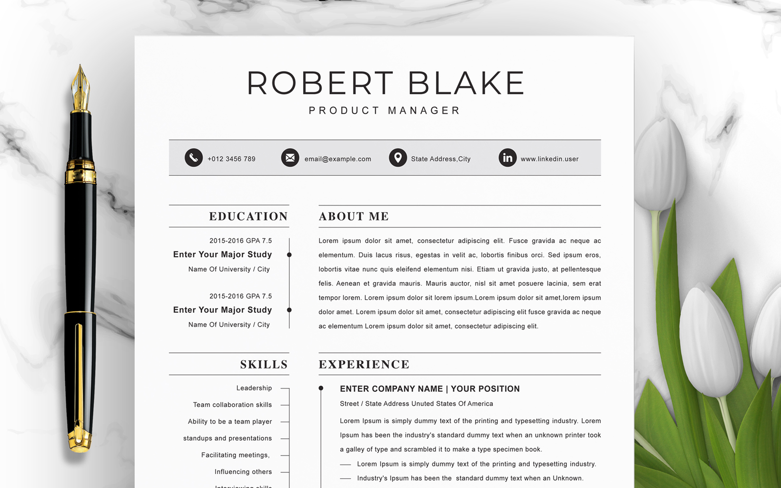 Resume Templates