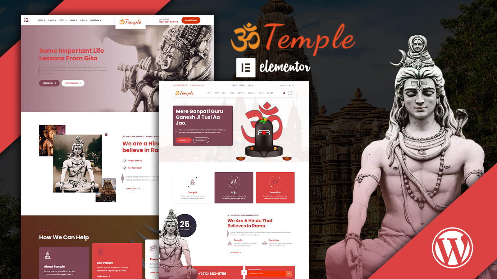 WordPress Themes