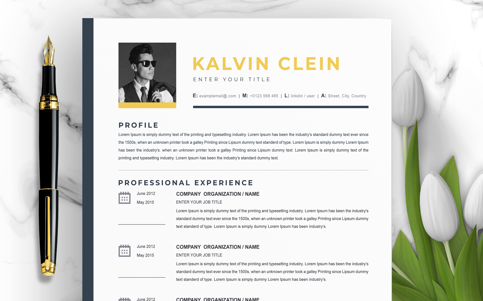 Resume Templates