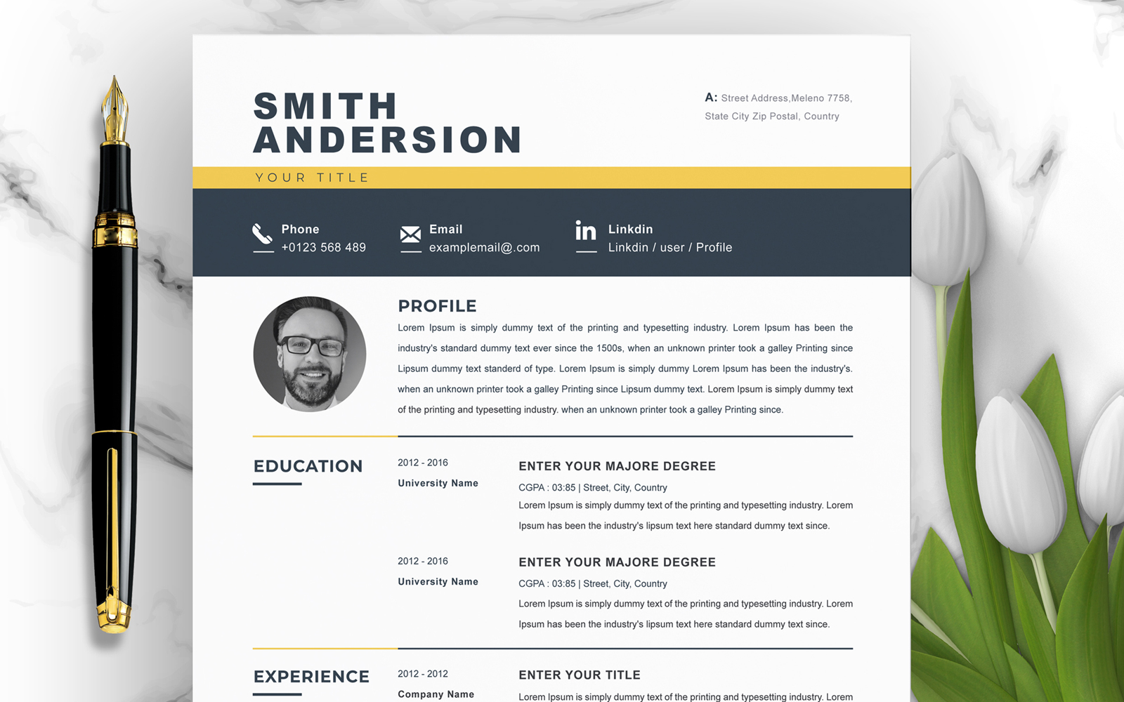 Resume Templates