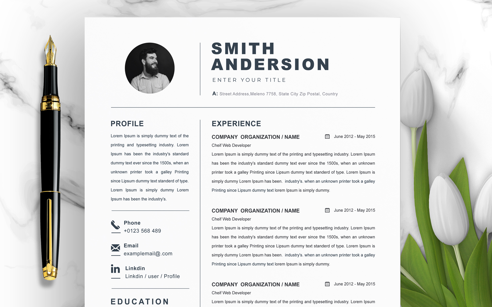 Resume Templates