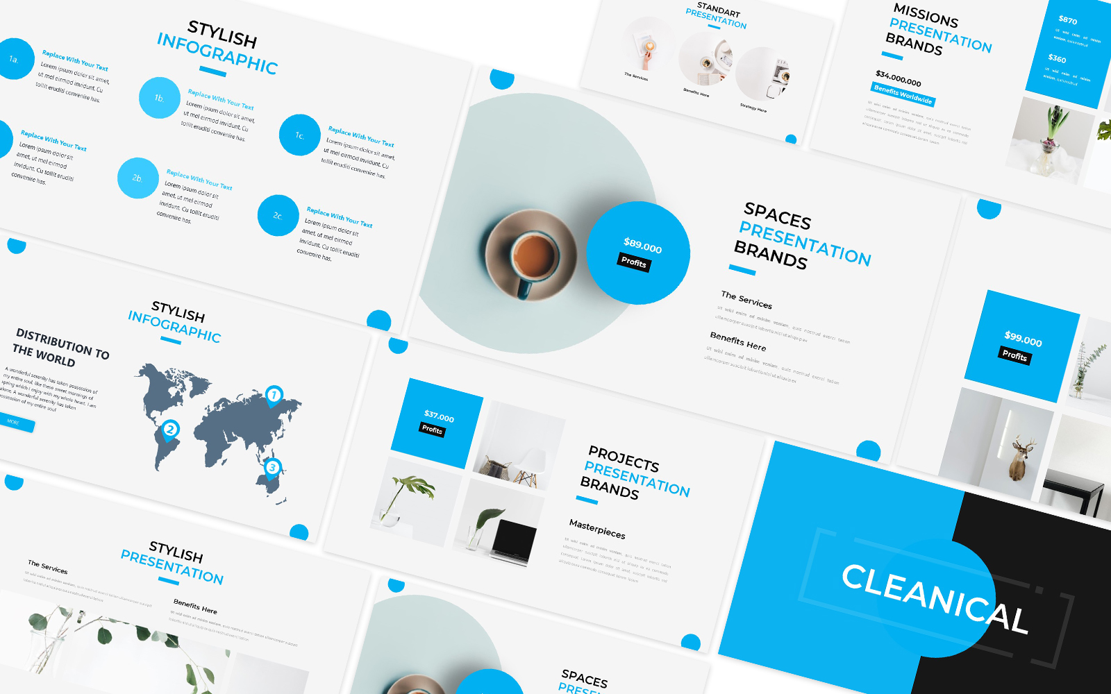 Cleanical Powerpoint Template
