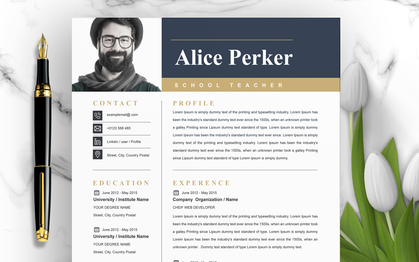 Resume Templates