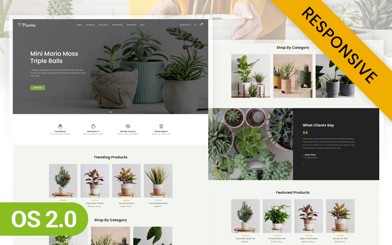 Pianta- Nursery Potted Plant Store Shopify 2.0 Theme