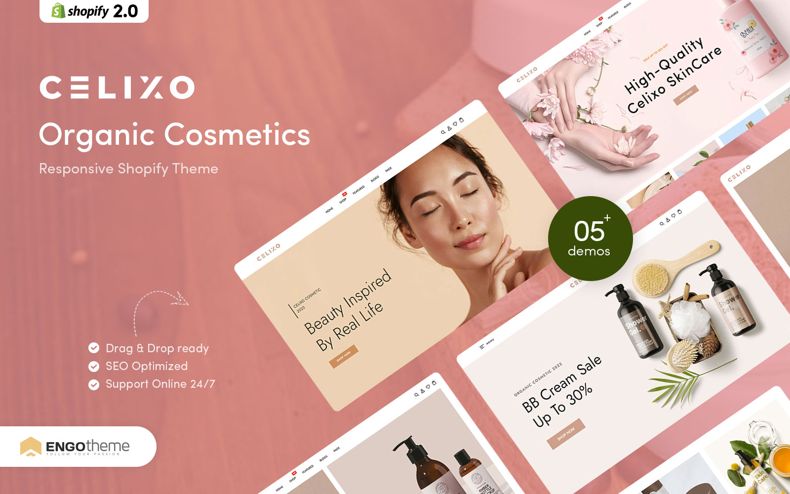 Shopify Themes