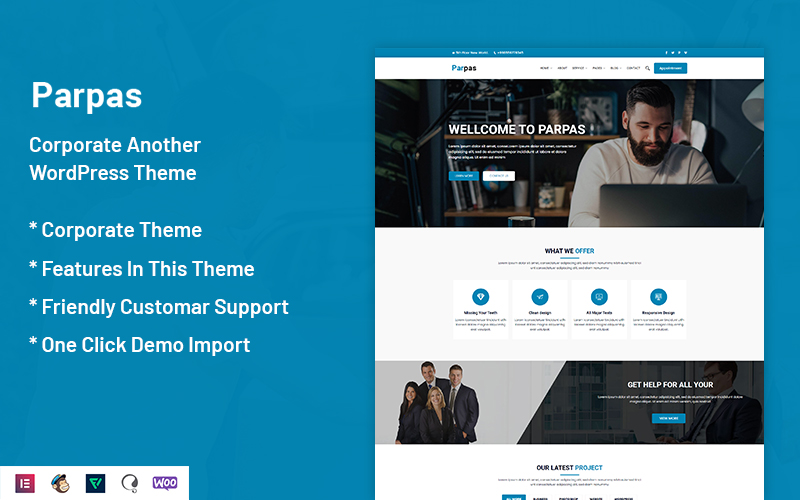 WordPress Themes