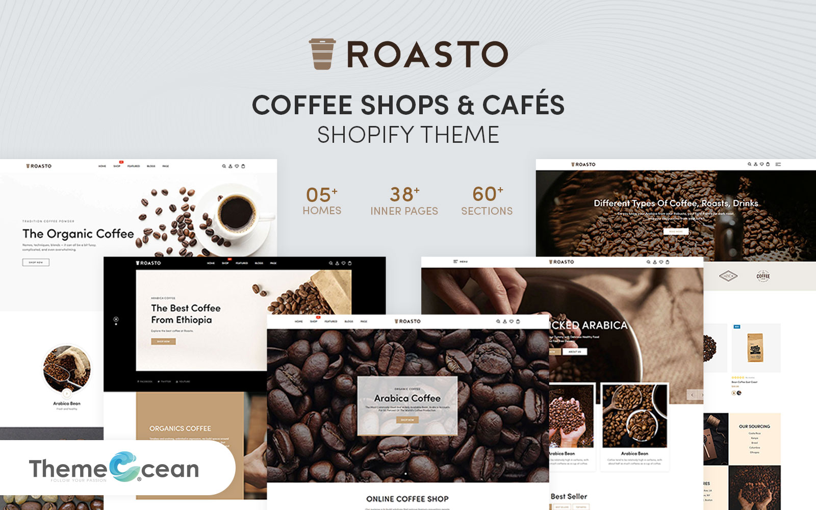 Shopify Themes