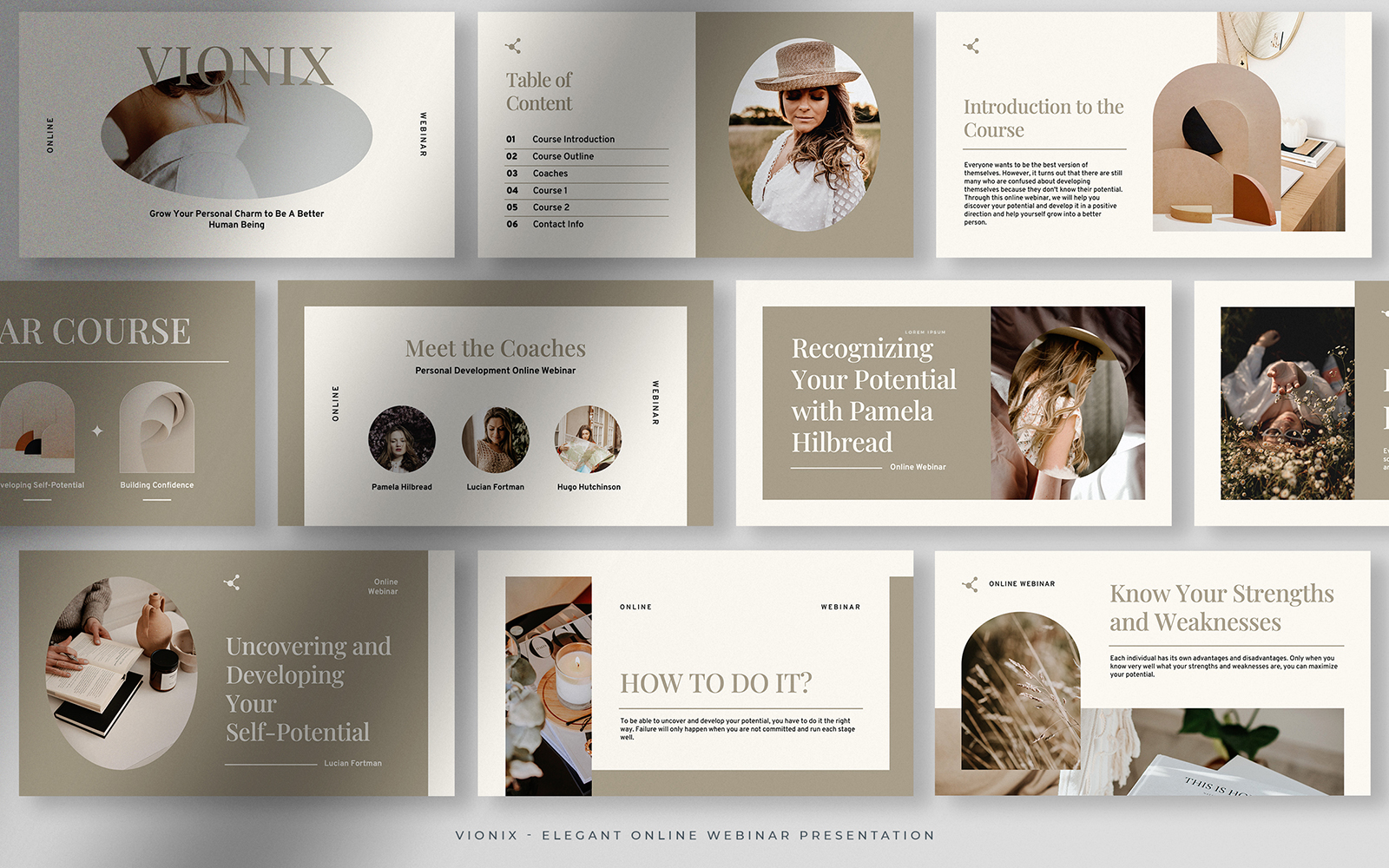 Vionix – Earthy Tone Elegant Online Webinar Presentation