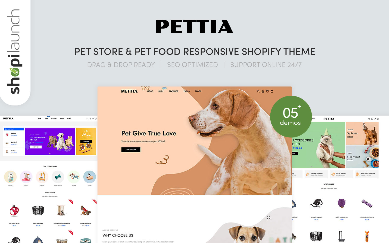 Shopify Themes