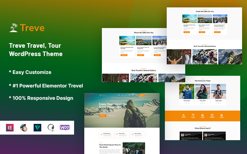 WordPress Themes