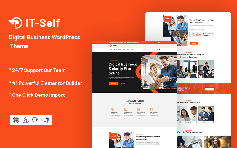 WordPress Themes