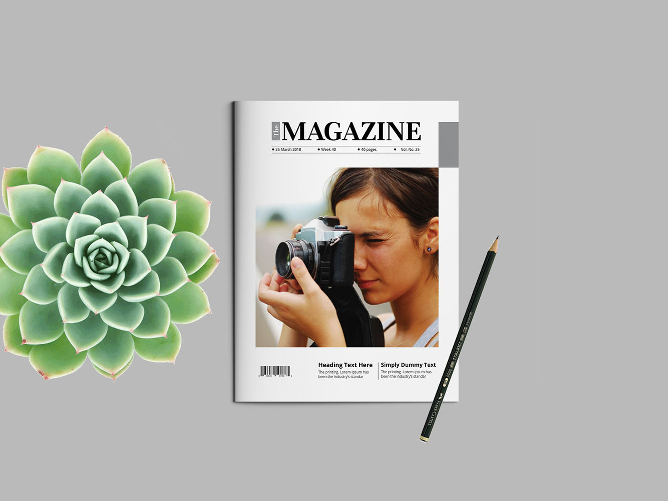 Singular Magazine Template Indesign File