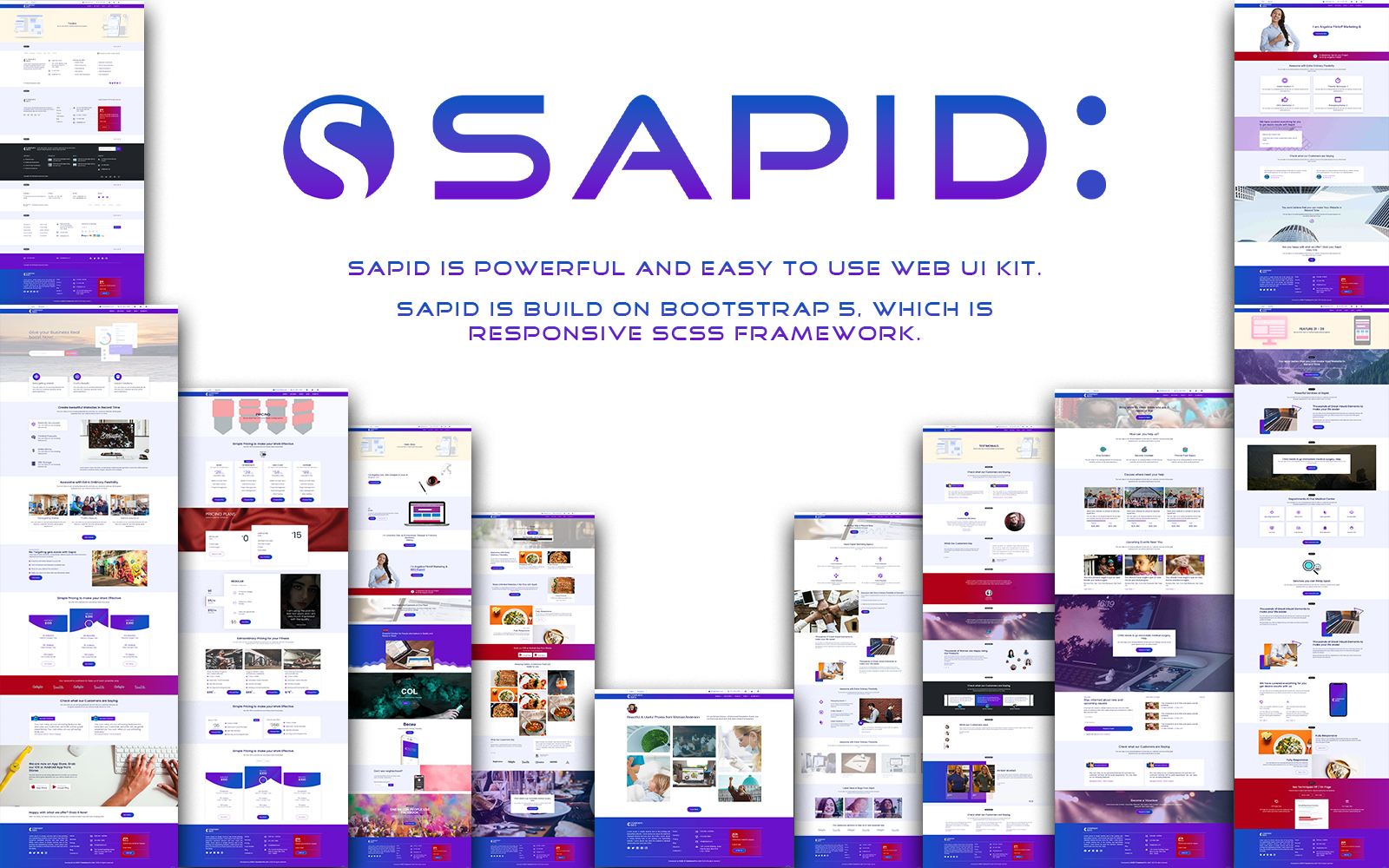 Sapid HTML Design Template