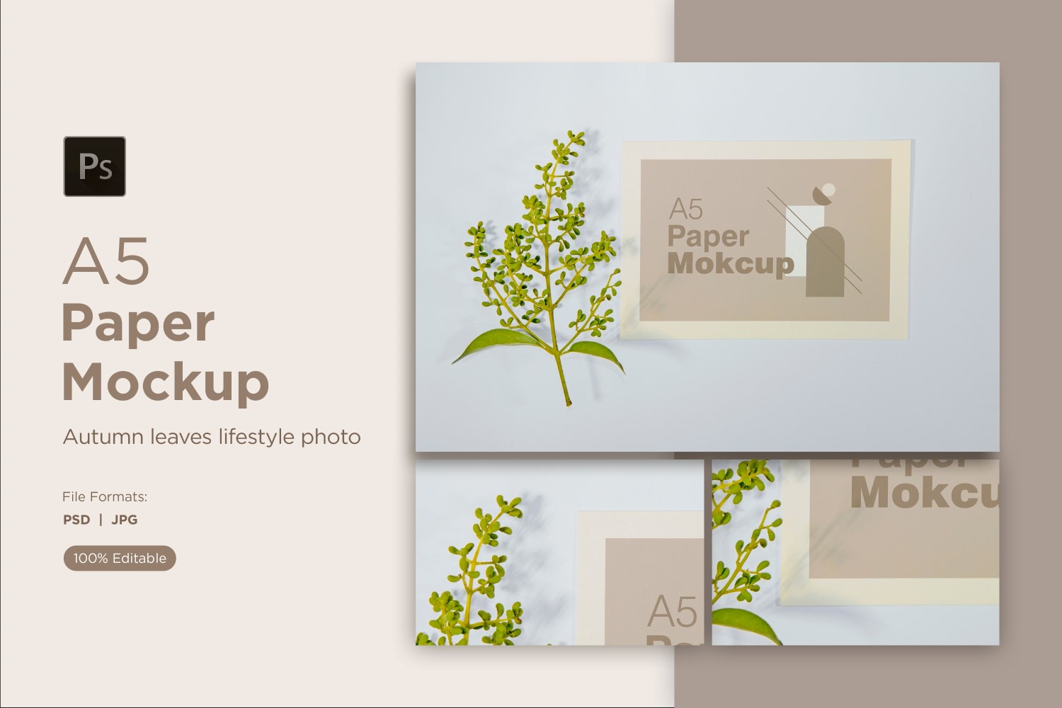 Product Mockups