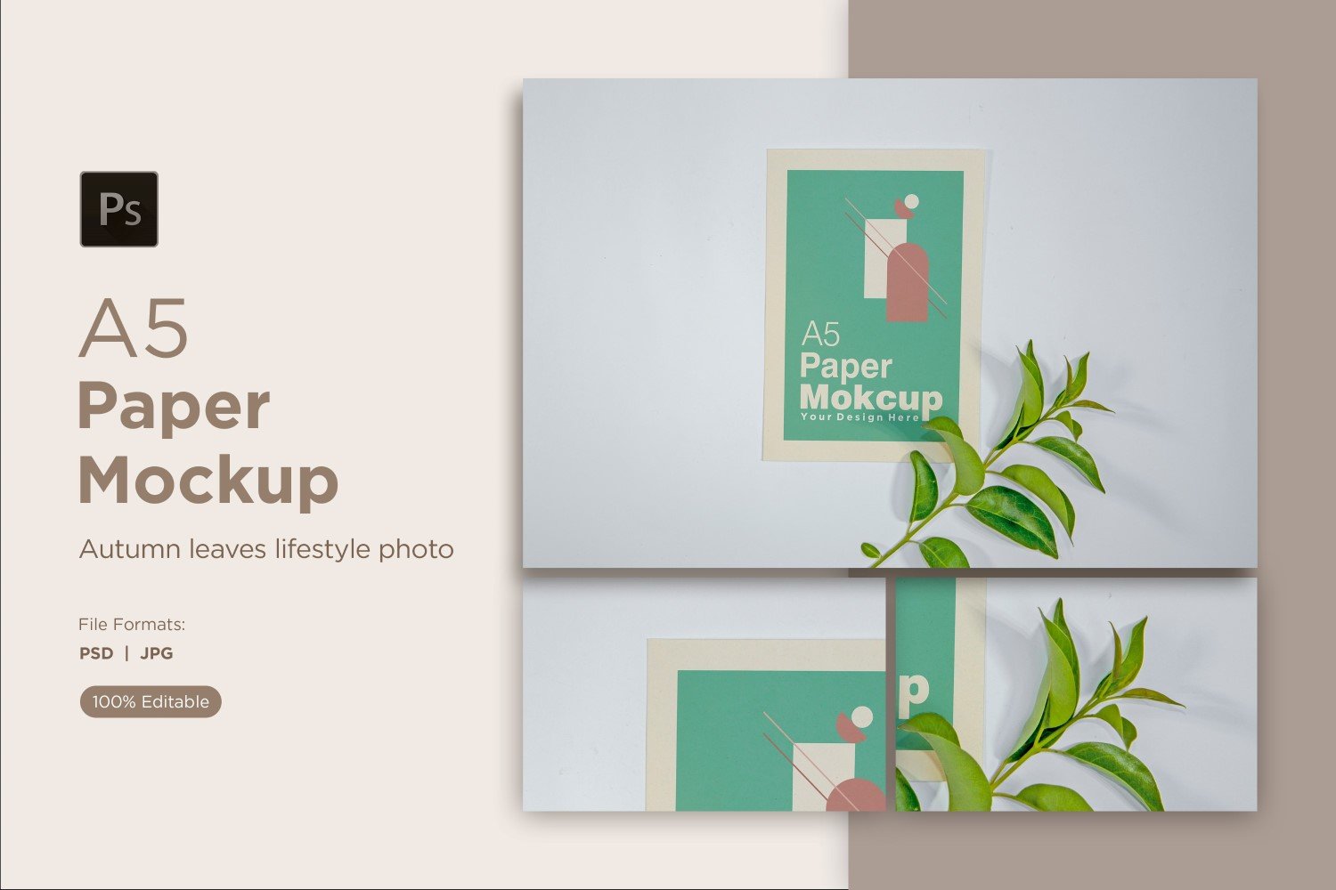 Product Mockups