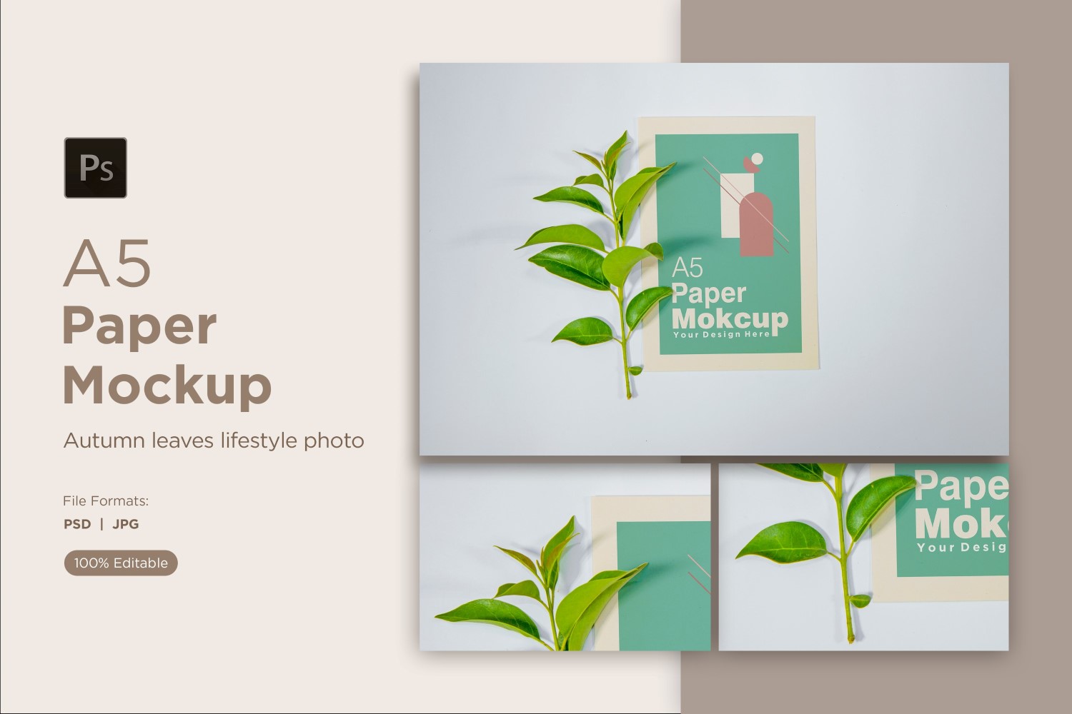 Product Mockups