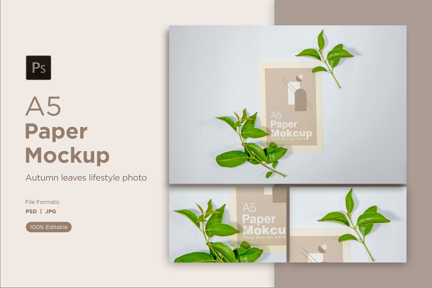 Product Mockups