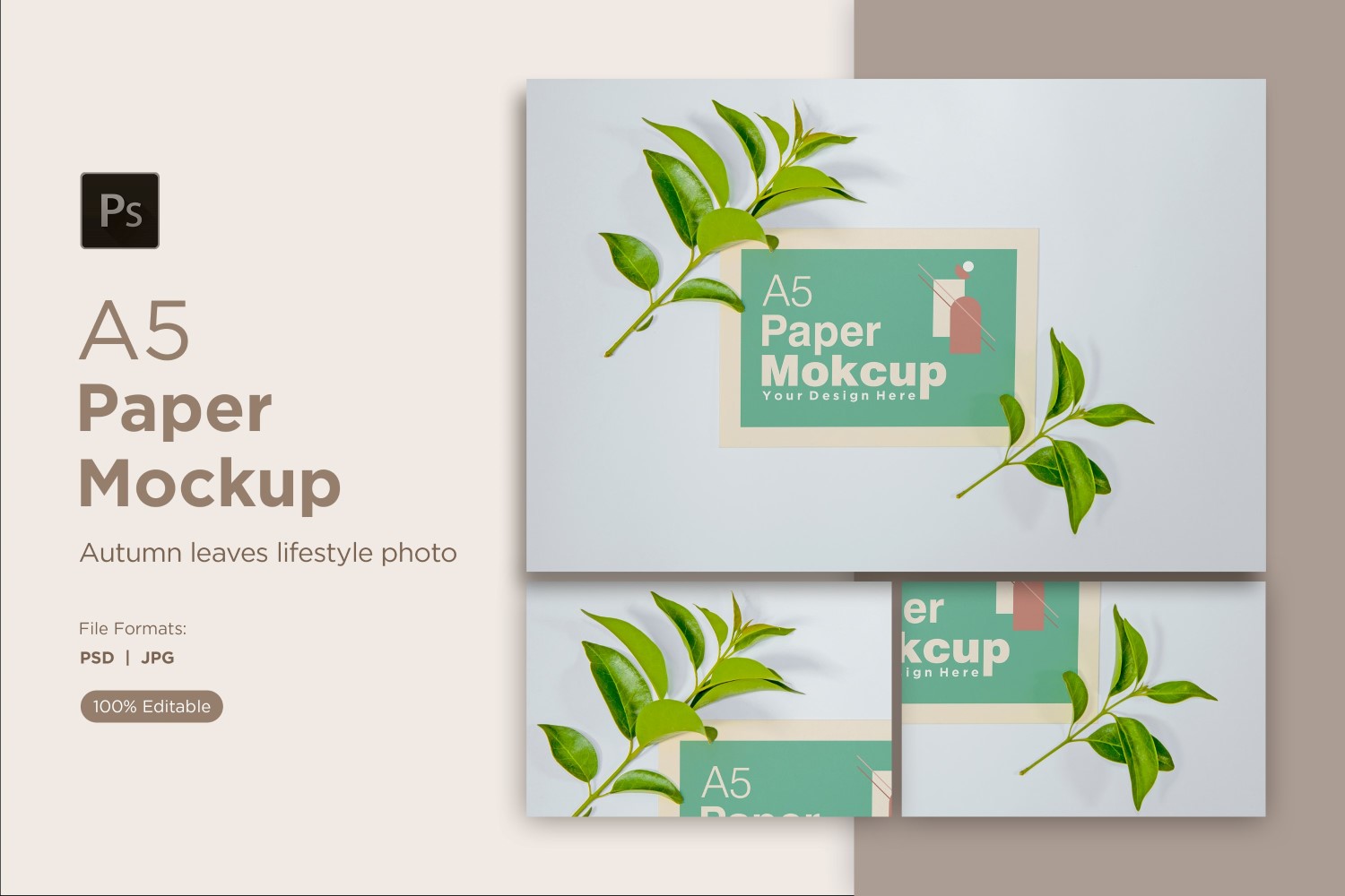 Product Mockups