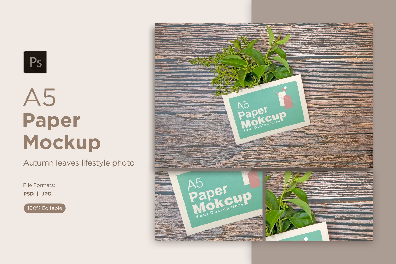 Product Mockups