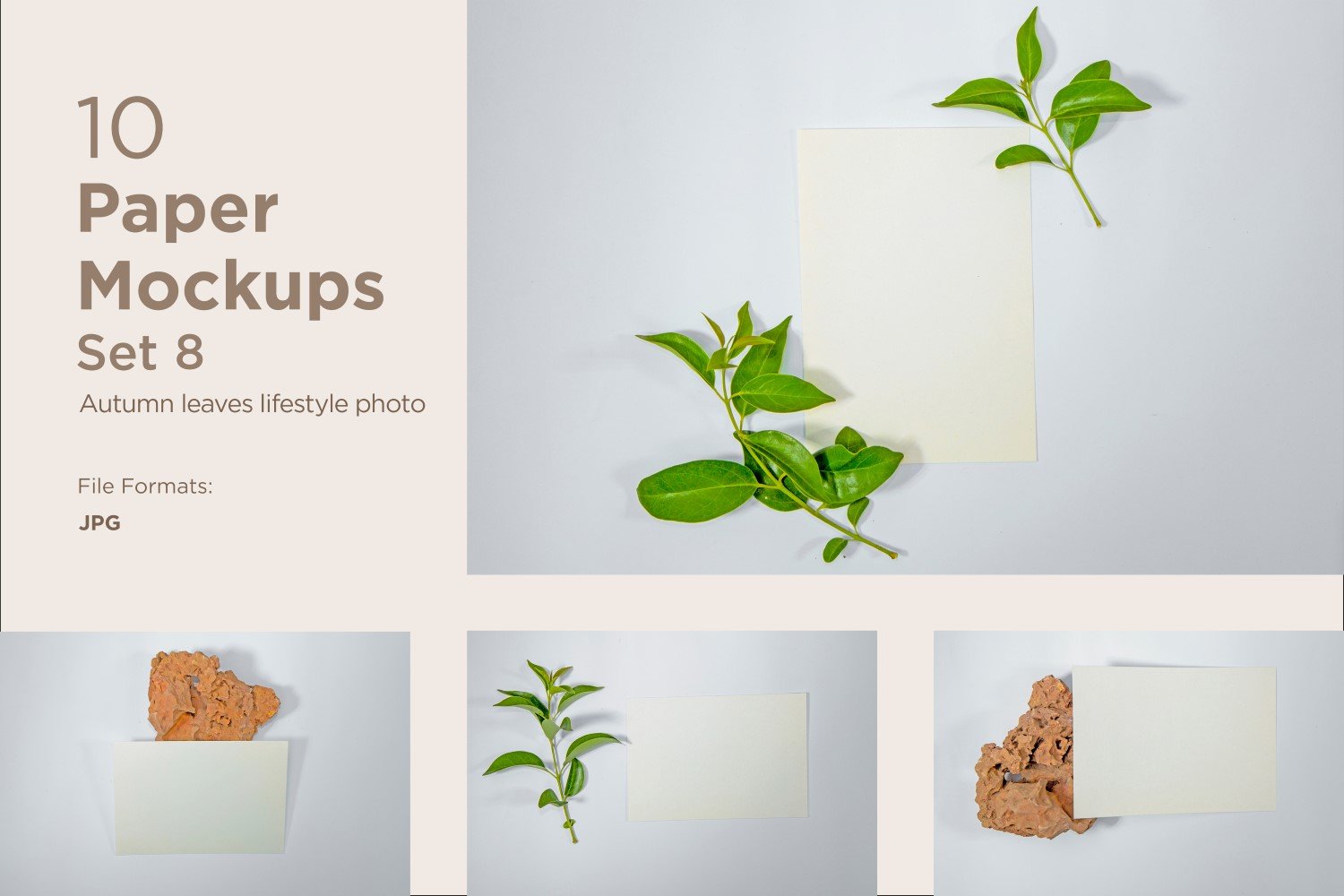 Product Mockups